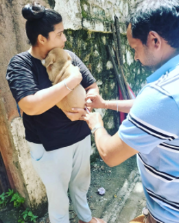 Vaccination and Rabies Eradication