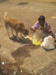 Rice Distribution Program