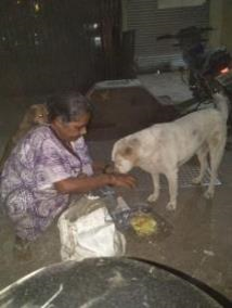  Rice Distribution Program 